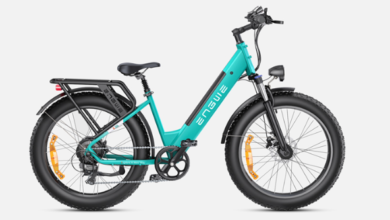 how-to-choose-the-best-step-thru-ebike-for-you