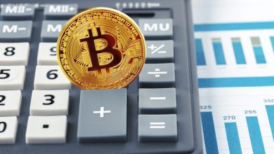 how-much-can-you-earn-staking?-this-reward-calculator-has-the-answer
