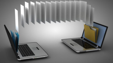 from-data-loss-to-data-security:-the-role-of-archiving-software-in-business-continuity