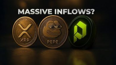 historical-cycle-pattern-to-work-against-xrp,-ada,-and-pepe,-as-pdp-records-massive-inflows
